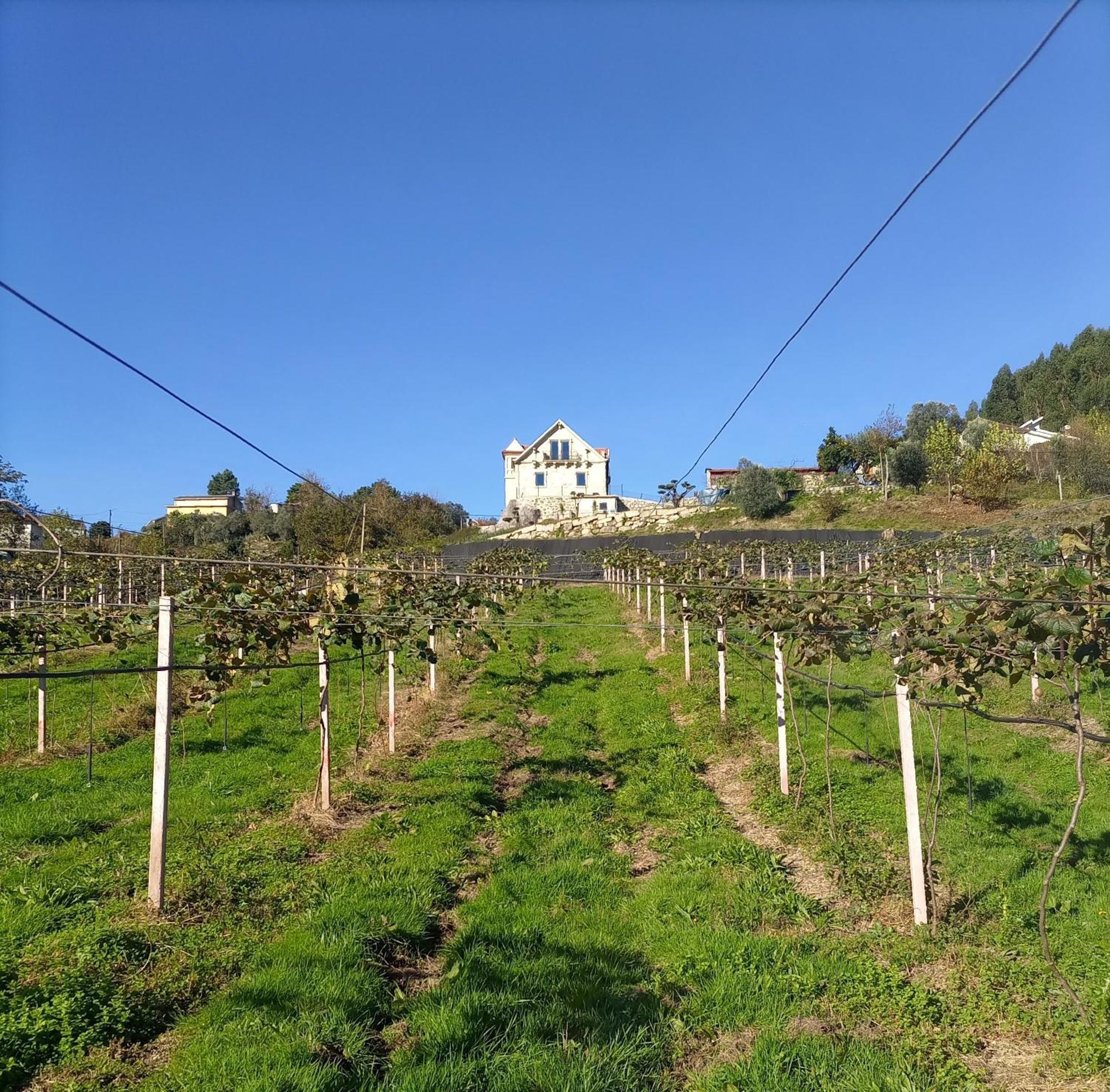 Quinta Do Bairro Villa Vieira do Minho Exteriör bild