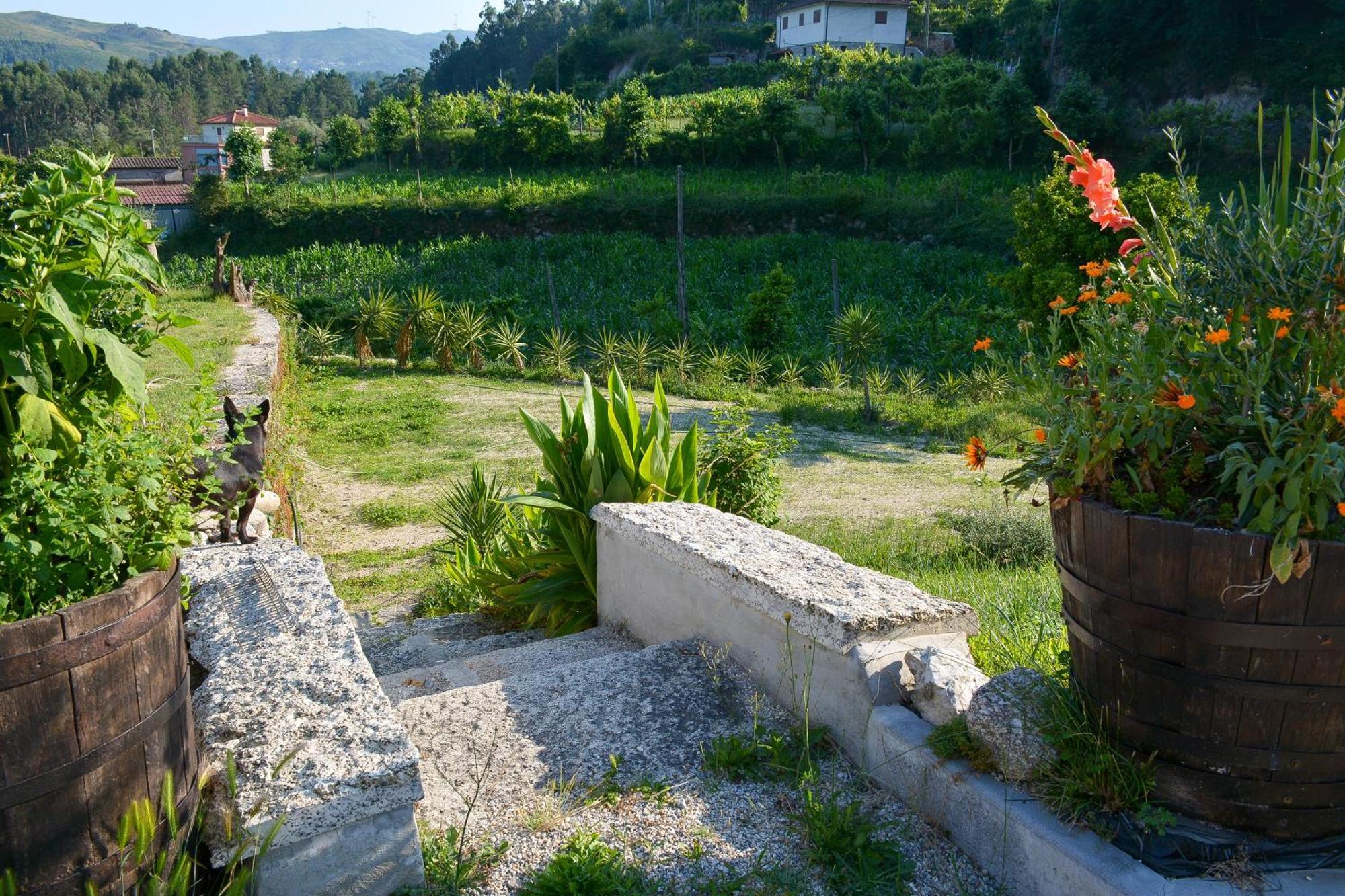 Quinta Do Bairro Villa Vieira do Minho Exteriör bild